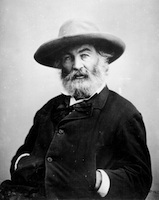 Photo of Walt Whitman by Mathew Brady